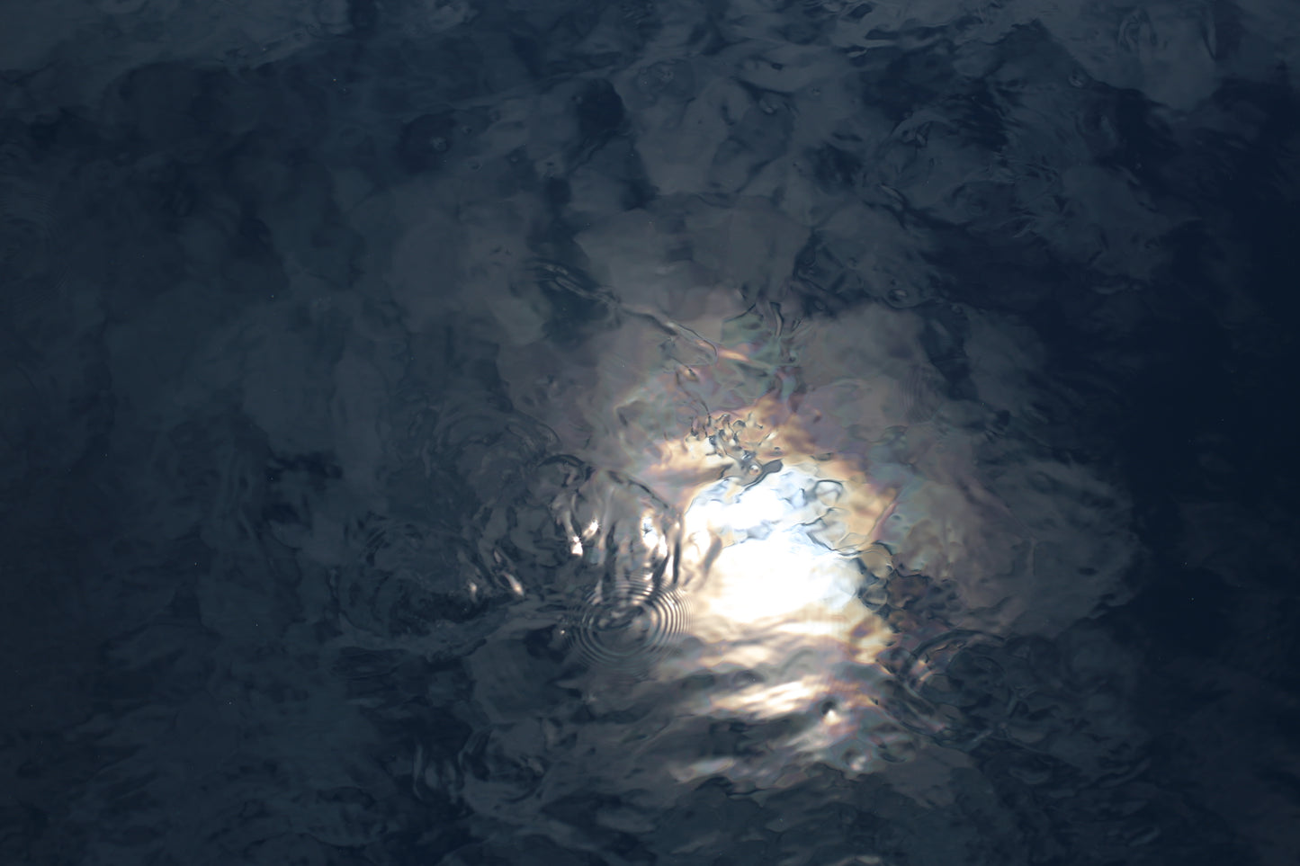 Badeanzug BARBARA old Style - Flores